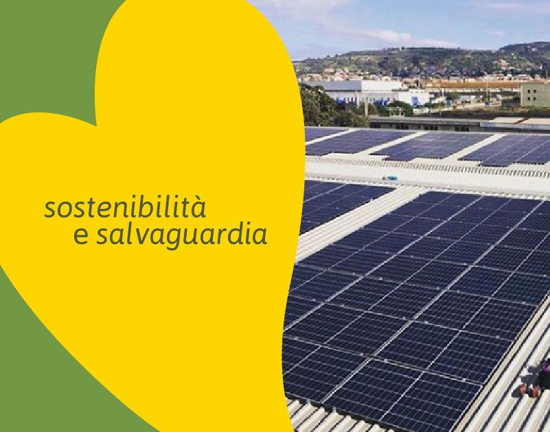 Policom Campo Calabro