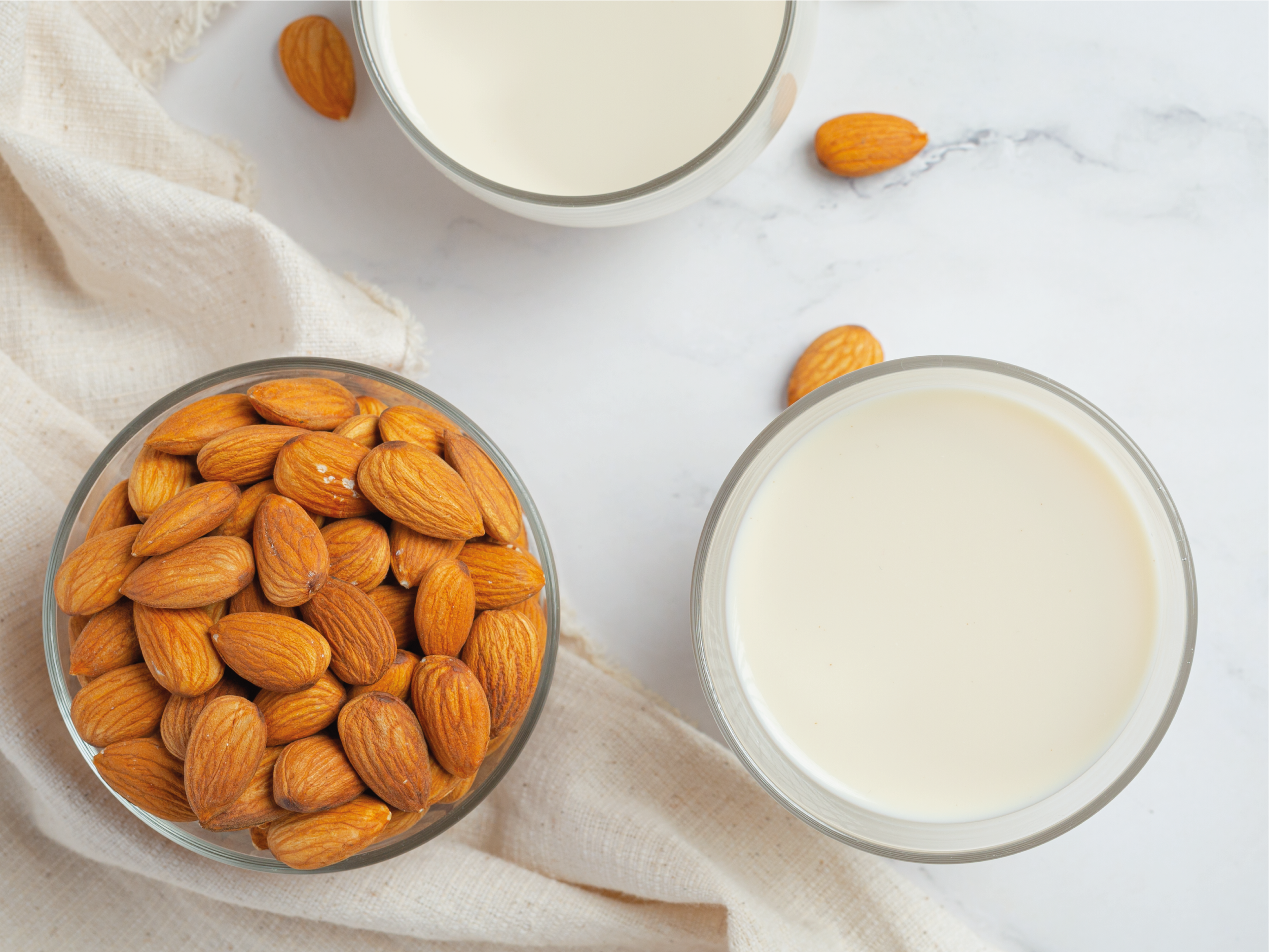 Plant Based, un’alternativa a lungo termine